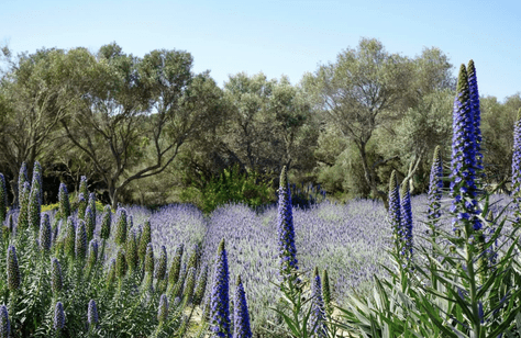 Finca histórica Girona